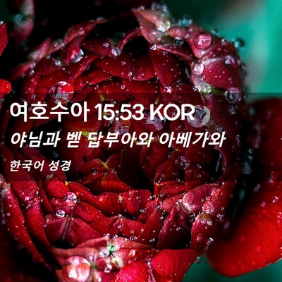 Picture 02 - 여호수아 15:53 KOR - 야님과 벧 답부아와 - Bible Verse Picture