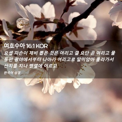 Picture 02 - 여호수아 16:1 KOR - 요셉 자손이 제비 뽑은 것은 여리고 - Bible Verse Picture