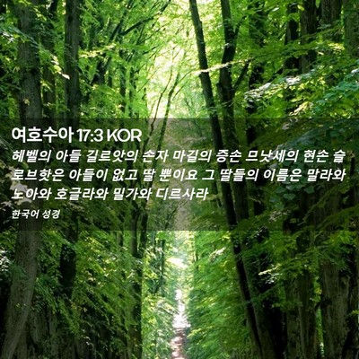 Picture 02 - 여호수아 17:3 KOR - 헤벨의 아들 길르앗의 손자 마길의 - Bible Verse Picture
