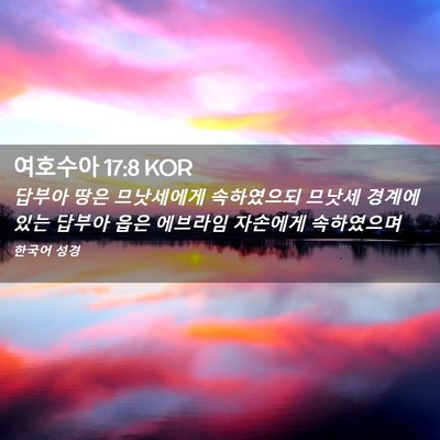Picture 02 - 여호수아 17:8 KOR - 답부아 땅은 므낫세에게 속하였으되 - Bible Verse Picture