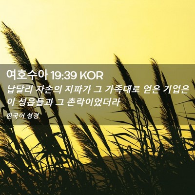 Picture 02 - 여호수아 19:39 KOR - 납달리 자손의 지파가 그 가족대로 - Bible Verse Picture