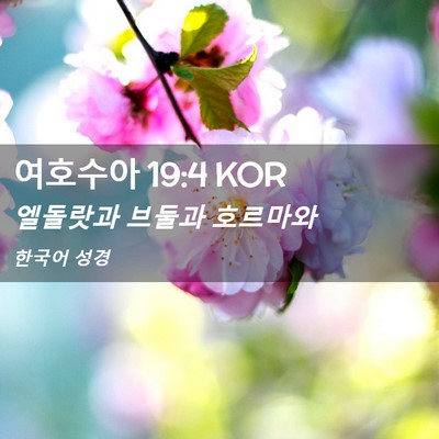 Picture 02 - 여호수아 19:4 KOR - 엘돌랏과 브둘과 - Bible Verse Picture