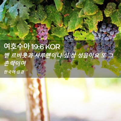 Picture 02 - 여호수아 19:6 KOR - 벧 르바옷과 사루헨이니 십 삼 - Bible Verse Picture