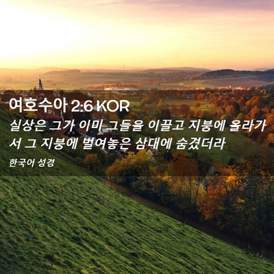 Picture 02 - 여호수아 2:6 KOR - 실상은 그가 이미 그들을 이끌고 - Bible Verse Picture