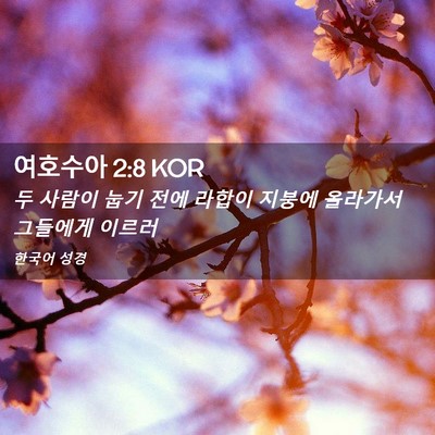 Picture 02 - 여호수아 2:8 KOR - 두 사람이 눕기 전에 라합이 지붕에 - Bible Verse Picture