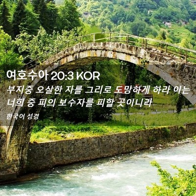 Picture 02 - 여호수아 20:3 KOR - 부지중 오살한 자를 그리로 도망하게 - Bible Verse Picture