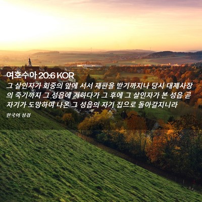 Picture 02 - 여호수아 20:6 KOR - 그 살인자가 회중의 앞에 서서 - Bible Verse Picture