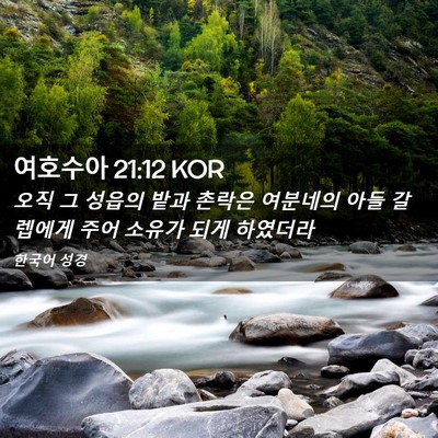 Picture 02 - 여호수아 21:12 KOR - 오직 그 성읍의 밭과 촌락은 - Bible Verse Picture