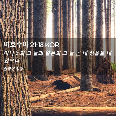 Picture 02 - 여호수아 21:18 KOR - 아나돗과 그 들과 알몬과 그 들 곧 네 - Bible Verse Picture