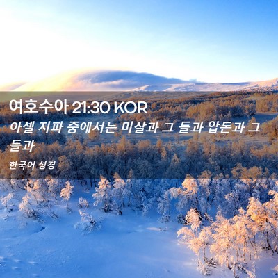Picture 02 - 여호수아 21:30 KOR - 아셀 지파 중에서는 미살과 그 들과 - Bible Verse Picture