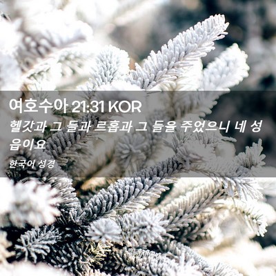Picture 02 - 여호수아 21:31 KOR - 헬갓과 그 들과 르홉과 그 들을 - Bible Verse Picture
