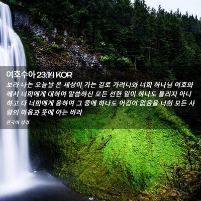 Picture 02 - 여호수아 23:14 KOR - 보라 나는 오늘날 온 세상이 가는 - Bible Verse Picture