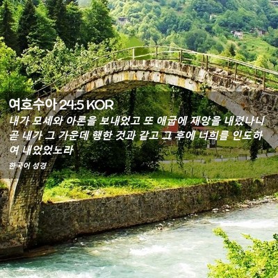 Picture 02 - 여호수아 24:5 KOR - 내가 모세와 아론을 보내었고 또 - Bible Verse Picture