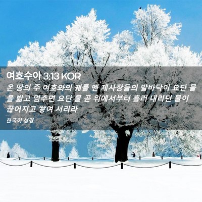 Picture 02 - 여호수아 3:13 KOR - 온 땅의 주 여호와의 궤를 멘 - Bible Verse Picture