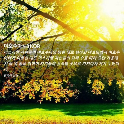 Picture 02 - 여호수아 4:8 KOR - 이스라엘 자손들이 여호수아의 명한 - Bible Verse Picture