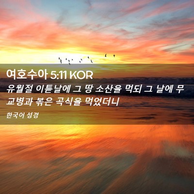 Picture 02 - 여호수아 5:11 KOR - 유월절 이튿날에 그 땅 소산을 먹되 - Bible Verse Picture