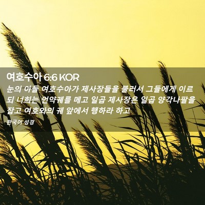Picture 02 - 여호수아 6:6 KOR - 눈의 아들 여호수아가 제사장들을 - Bible Verse Picture