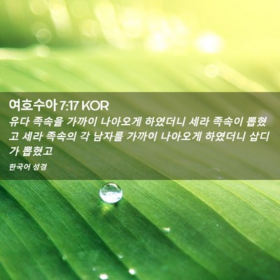 Picture 02 - 여호수아 7:17 KOR - 유다 족속을 가까이 나아오게 - Bible Verse Picture