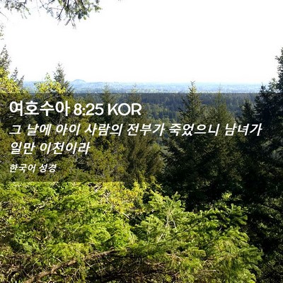 Picture 02 - 여호수아 8:25 KOR - 그 날에 아이 사람의 전부가 - Bible Verse Picture