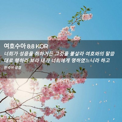 Picture 02 - 여호수아 8:8 KOR - 너희가 성읍을 취하거든 그것을 - Bible Verse Picture