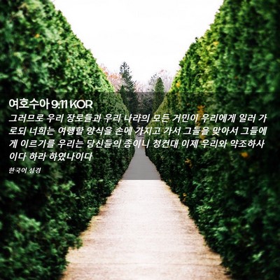Picture 02 - 여호수아 9:11 KOR - 그러므로 우리 장로들과 우리 나라의 - Bible Verse Picture