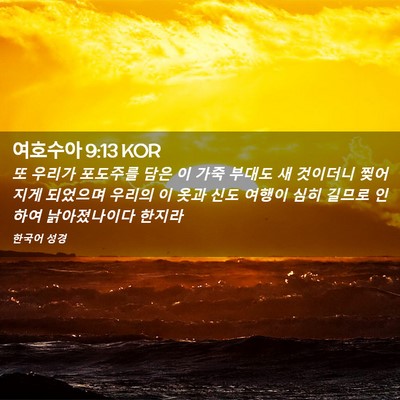 Picture 02 - 여호수아 9:13 KOR - 또 우리가 포도주를 담은 이 가죽 - Bible Verse Picture