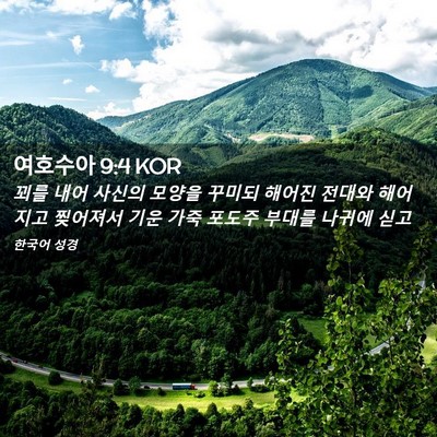 Picture 02 - 여호수아 9:4 KOR - 꾀를 내어 사신의 모양을 꾸미되 - Bible Verse Picture