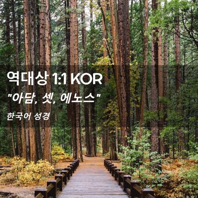 Picture 02 - 역대상 1:1 KOR - 