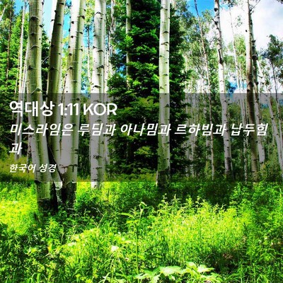 Picture 02 - 역대상 1:11 KOR - 미스라임은 루딤과 아나밈과 - Bible Verse Picture