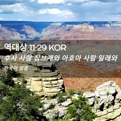 Picture 02 - 역대상 11:29 KOR - 후사 사람 십브개와 아호아 사람 - Bible Verse Picture