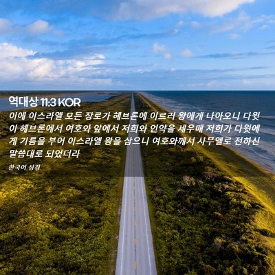 Picture 02 - 역대상 11:3 KOR - 이에 이스라엘 모든 장로가 헤브론에 - Bible Verse Picture