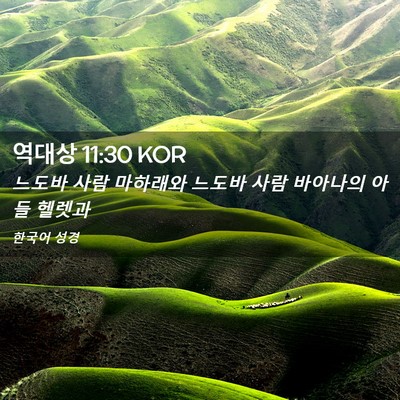 Picture 02 - 역대상 11:30 KOR - 느도바 사람 마하래와 느도바 사람 - Bible Verse Picture