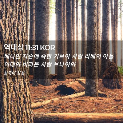 Picture 02 - 역대상 11:31 KOR - 베냐민 자손에 속한 기브아 사람 - Bible Verse Picture