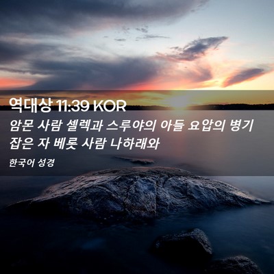 Picture 02 - 역대상 11:39 KOR - 암몬 사람 셀렉과 스루야의 아들 - Bible Verse Picture