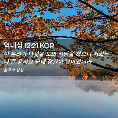 Picture 02 - 역대상 12:21 KOR - 이 무리가 다윗을 도와 적당을 - Bible Verse Picture
