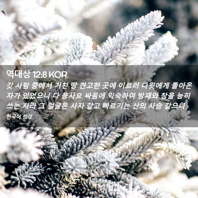 Picture 02 - 역대상 12:8 KOR - 갓 사람 중에서 거친 땅 견고한 곳에 - Bible Verse Picture