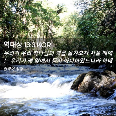 Picture 02 - 역대상 13:3 KOR - 우리가 우리 하나님의 궤를 옮겨오자 - Bible Verse Picture