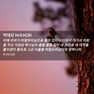 Picture 02 - 역대상 14:11 KOR - 이에 무리가 바알부라심으로 올라 - Bible Verse Picture