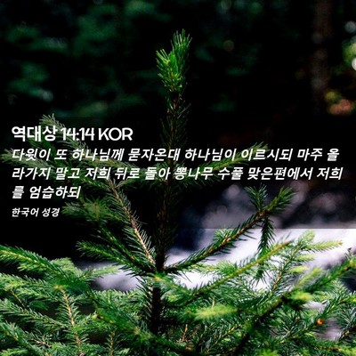 Picture 02 - 역대상 14:14 KOR - 다윗이 또 하나님께 묻자온대 - Bible Verse Picture