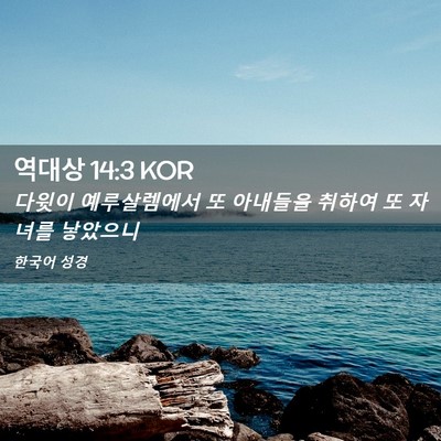 Picture 02 - 역대상 14:3 KOR - 다윗이 예루살렘에서 또 아내들을 - Bible Verse Picture