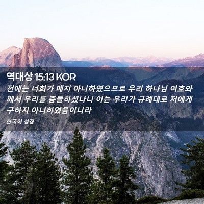 Picture 02 - 역대상 15:13 KOR - 전에는 너희가 메지 아니하였으므로 - Bible Verse Picture