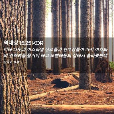 Picture 02 - 역대상 15:25 KOR - 이에 다윗과 이스라엘 장로들과 - Bible Verse Picture
