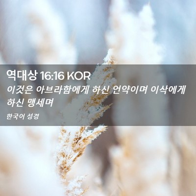 Picture 02 - 역대상 16:16 KOR - 이것은 아브라함에게 하신 언약이며 - Bible Verse Picture