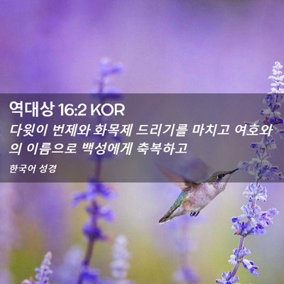 Picture 02 - 역대상 16:2 KOR - 다윗이 번제와 화목제 드리기를 - Bible Verse Picture
