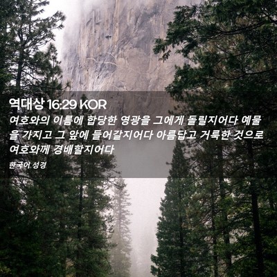 Picture 02 - 역대상 16:29 KOR - 여호와의 이름에 합당한 영광을 - Bible Verse Picture