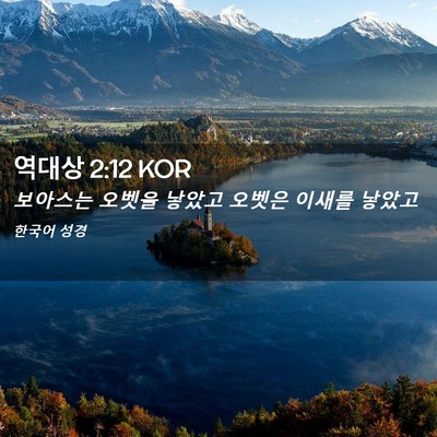 Picture 02 - 역대상 2:12 KOR - 보아스는 오벳을 낳았고 오벳은 - Bible Verse Picture