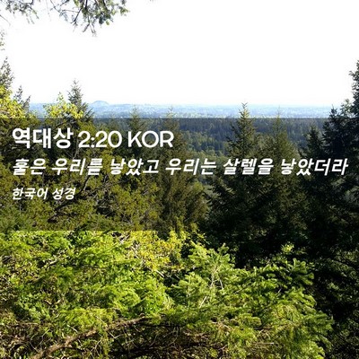 Picture 02 - 역대상 2:20 KOR - 훌은 우리를 낳았고 우리는 살렐을 - Bible Verse Picture