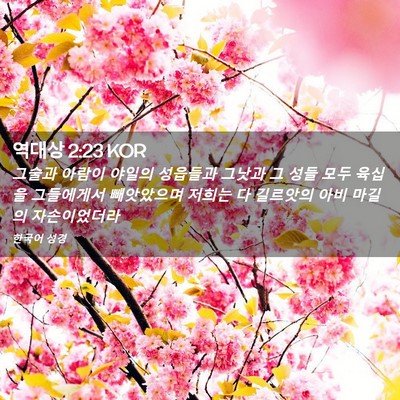 Picture 02 - 역대상 2:23 KOR - 그술과 아람이 야일의 성읍들과 - Bible Verse Picture