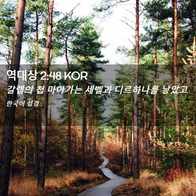 Picture 02 - 역대상 2:48 KOR - 갈렙의 첩 마아가는 세벨과 - Bible Verse Picture