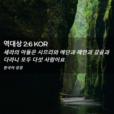 Picture 02 - 역대상 2:6 KOR - 세라의 아들은 시므리와 에단과 - Bible Verse Picture